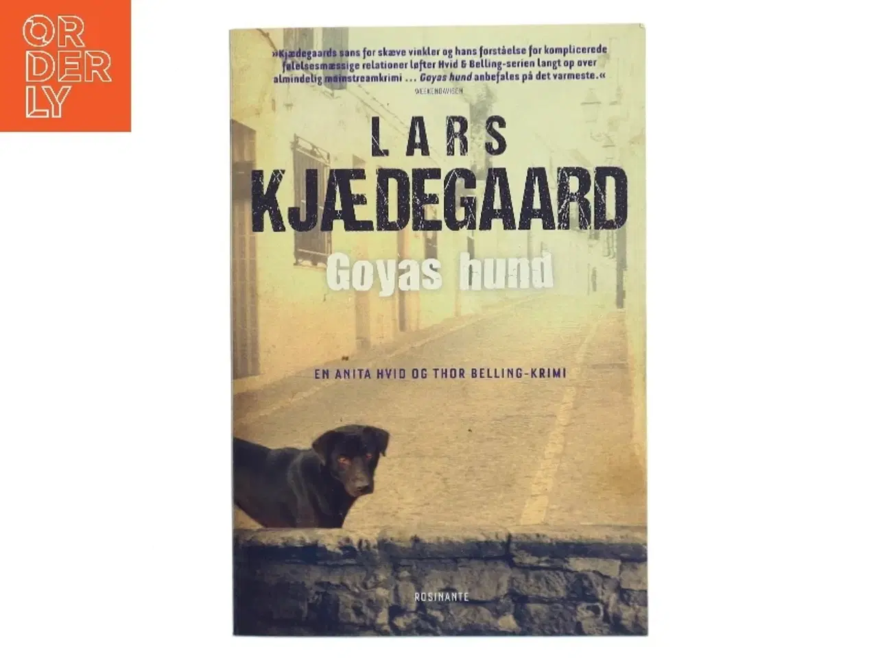 Billede 1 - Goyas hund af Lars Kjædegaard (Bog)