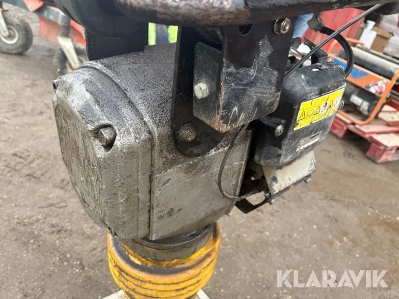 Billede 8 - Jordloppe Shatal