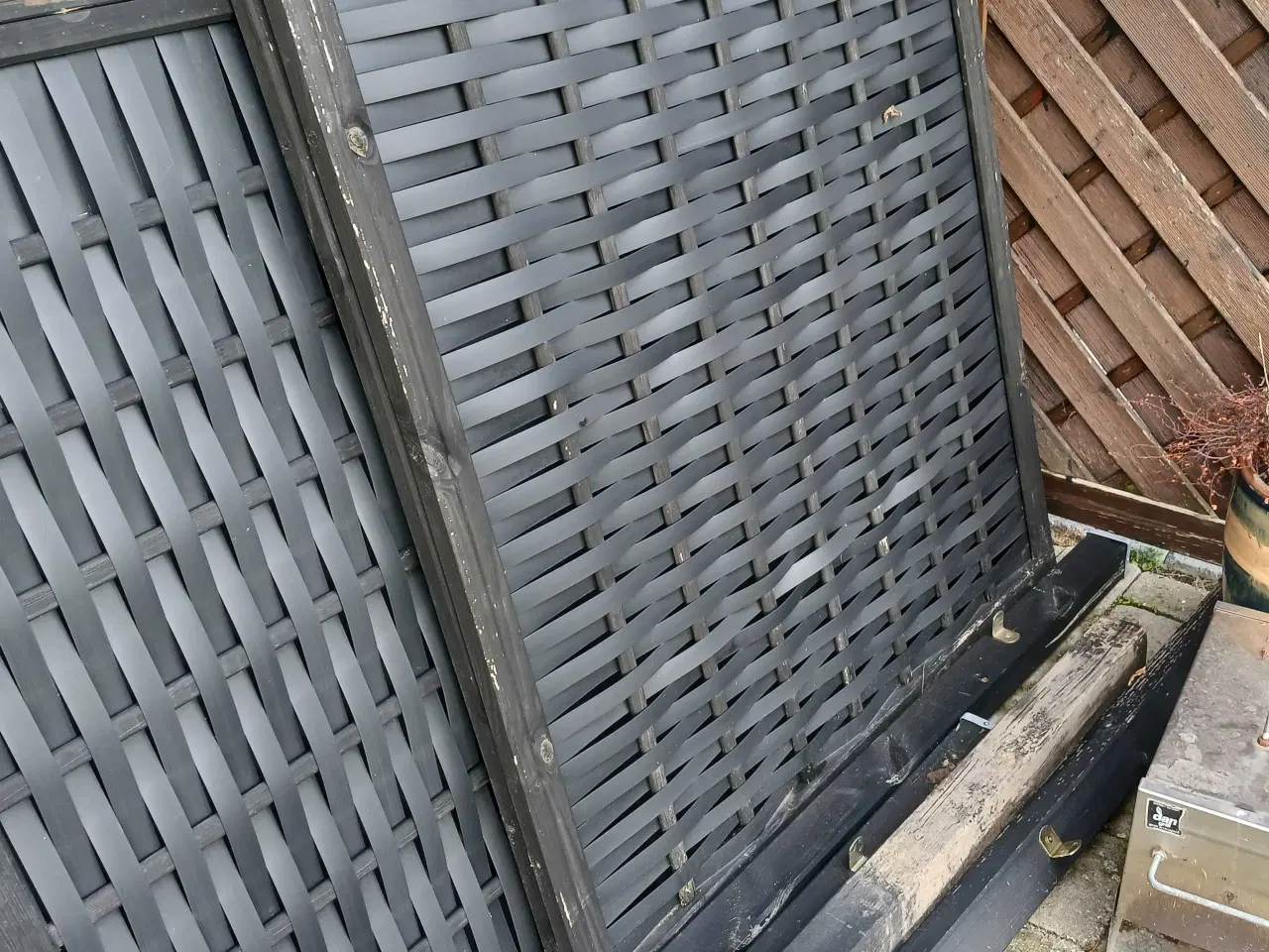 Billede 2 - Have hegn