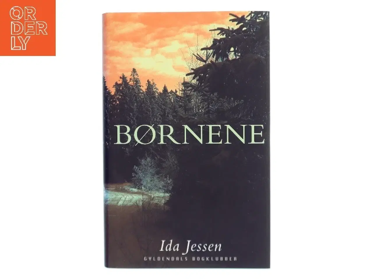 Billede 1 - Børnene af Ida Jessen (Bog)