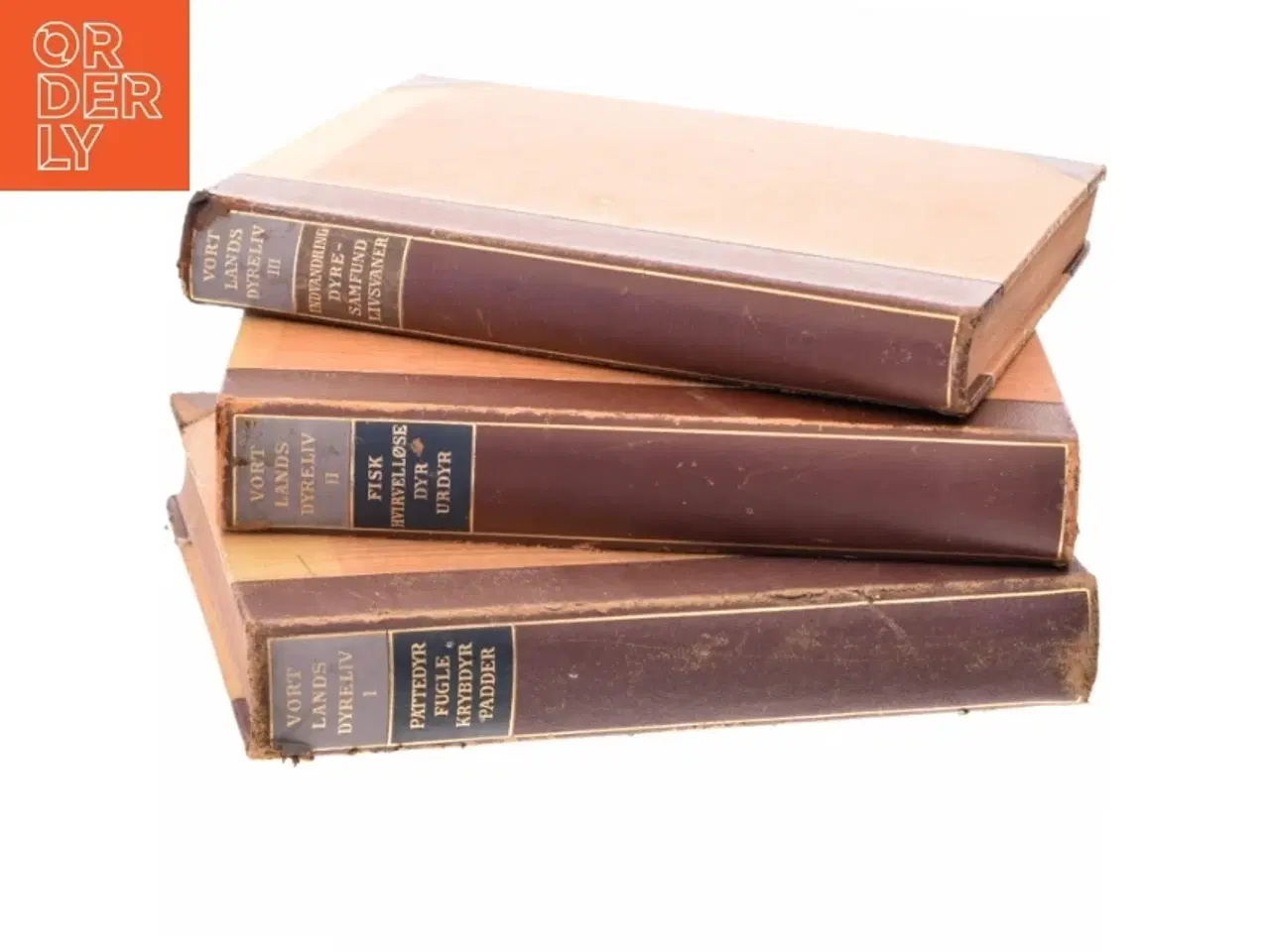 Billede 4 - Vort lands dyreliv 1-3