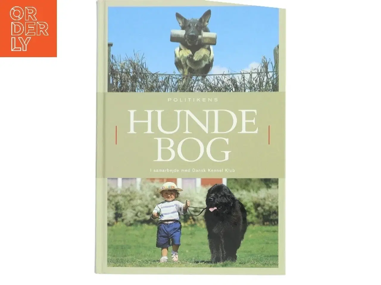 Billede 1 - Politikens hundebog af Ulla Sørensen (f. 1935) (Bog)