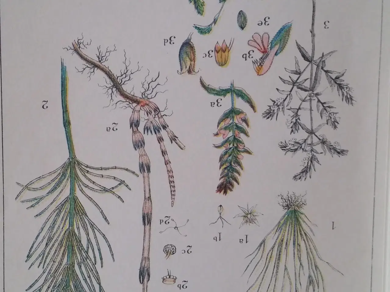 Billede 2 - Asmildkloster Landbrugsskole 