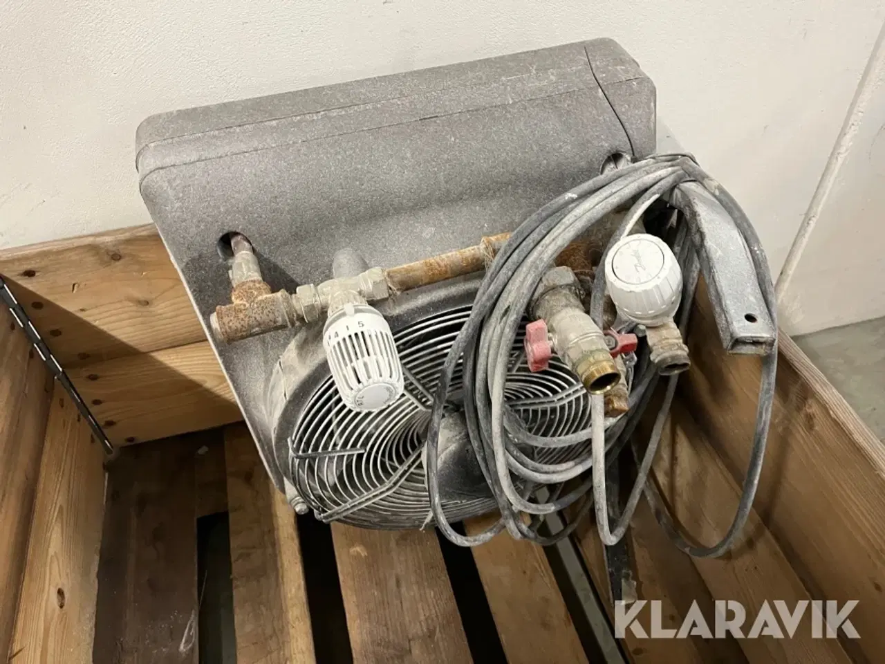 Billede 9 - Kaloiferer Gea og Sonniger 4 styk