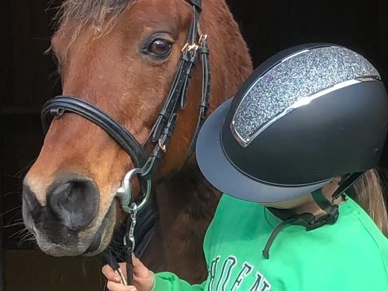 Billede 4 - Sødeste børnepony søger ny familie. 