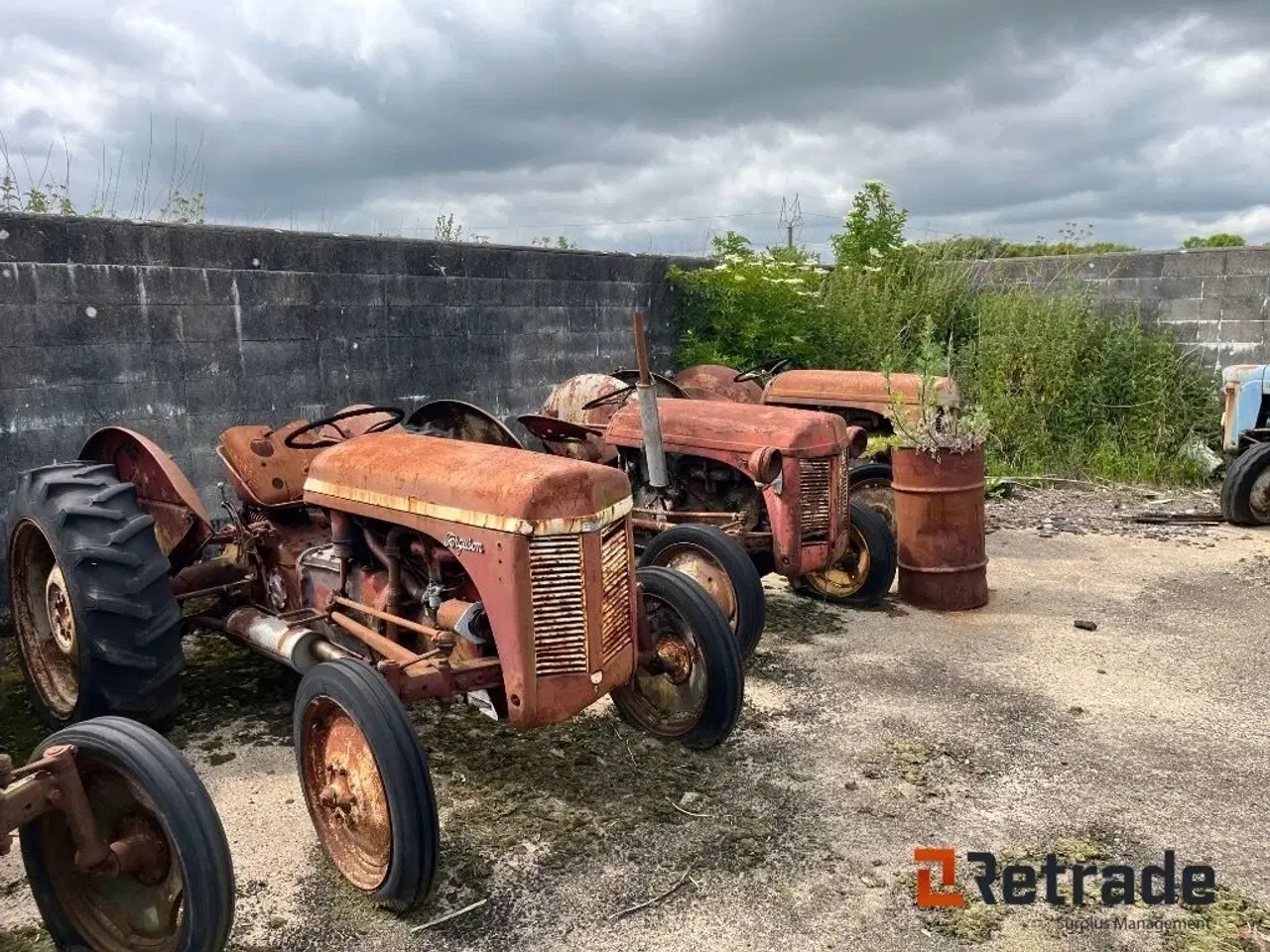 Billede 5 - - - - LOT Med 20 stk. Massey Ferguson Oldtimer Traktorer.