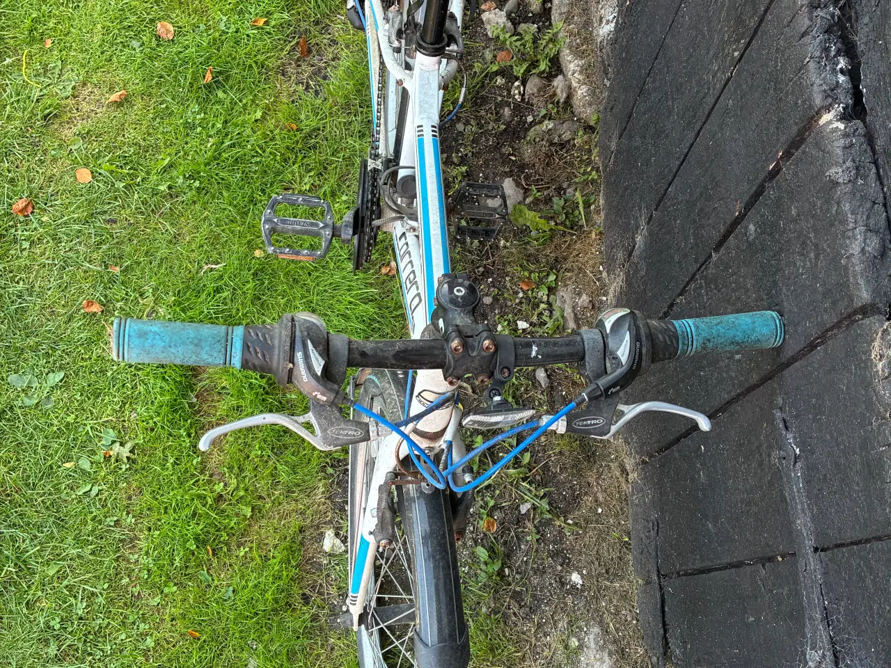 Billede 2 - Sarlin Carrera cykel