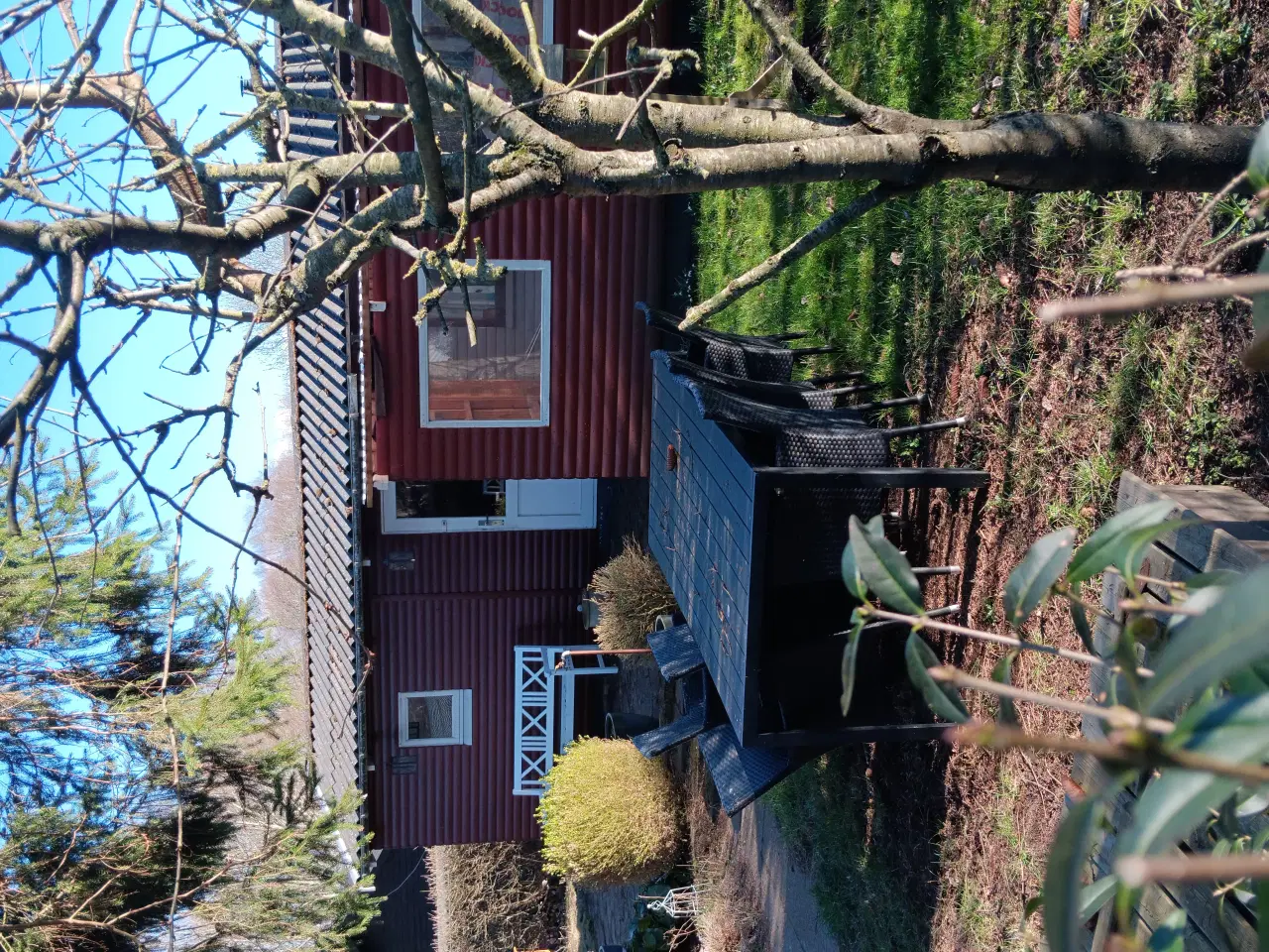 Billede 5 - Kolonihave Odense V