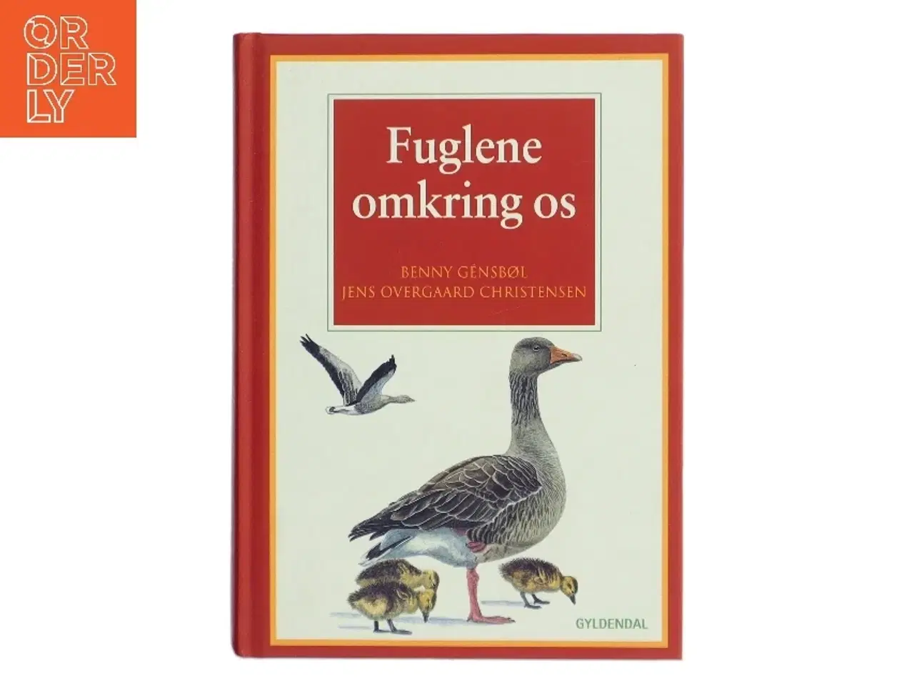 Billede 1 - Fuglene omkring os (Bog)
