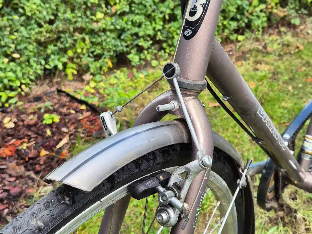 Billede 7 - Batavus Cityhopper – klassisk retro herrecykel, 7 