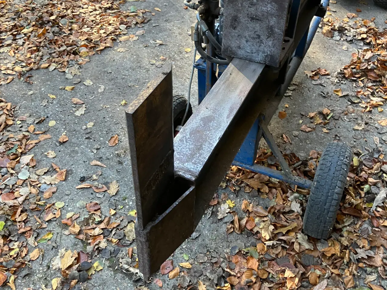 Billede 2 - Trækløver