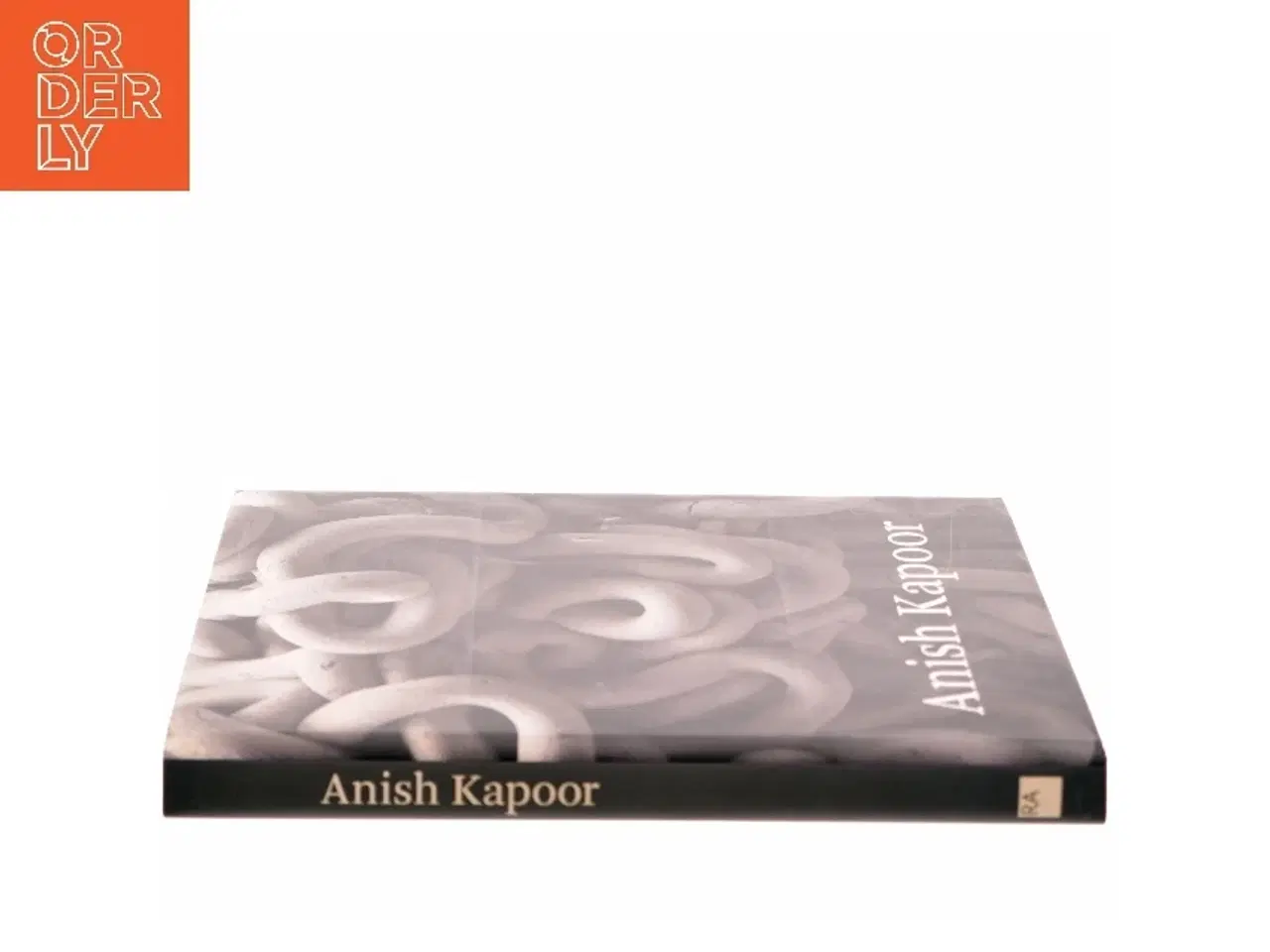 Billede 2 - Anish Kapoor af Anish Kapoor (Bog)