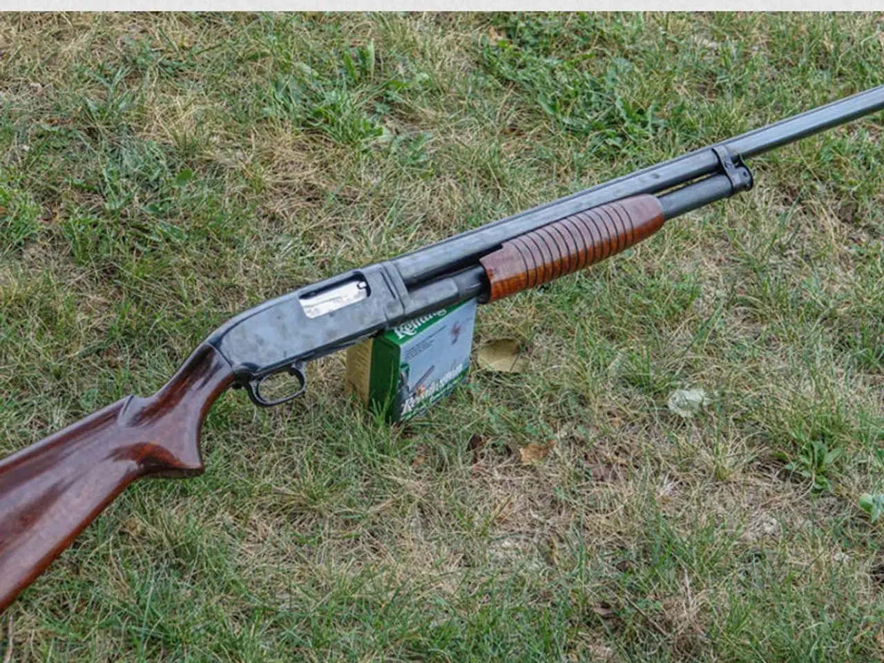 Billede 1 - Pumpgun søges!