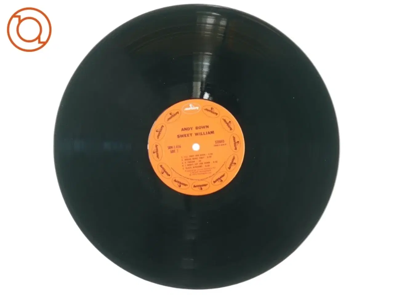 Billede 3 - Andy Bown, sweet william fra Mercury (str. 30 cm)