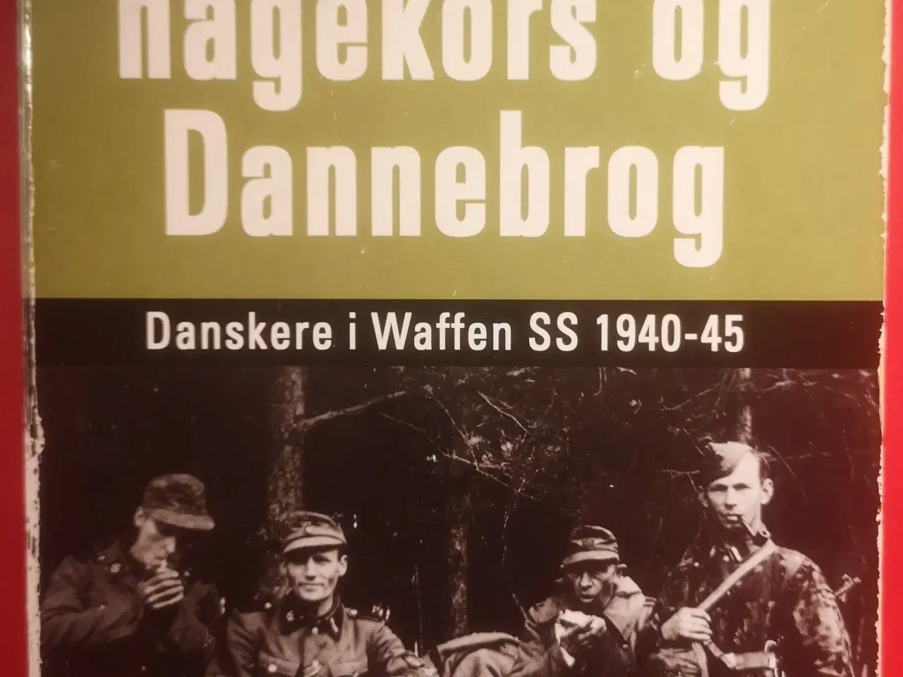 Billede 1 - Under HAGEKORS og DANNEBROG Danskere i Waffen SS 