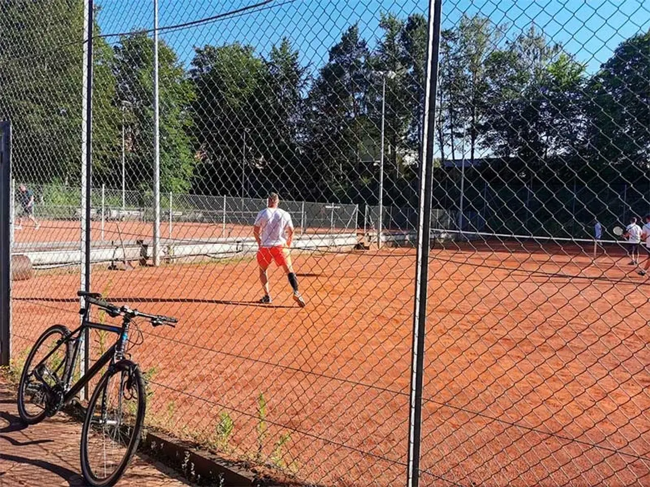 Billede 12 - Tenniskursus for begyndere!! Vejgaard. Øgade.
