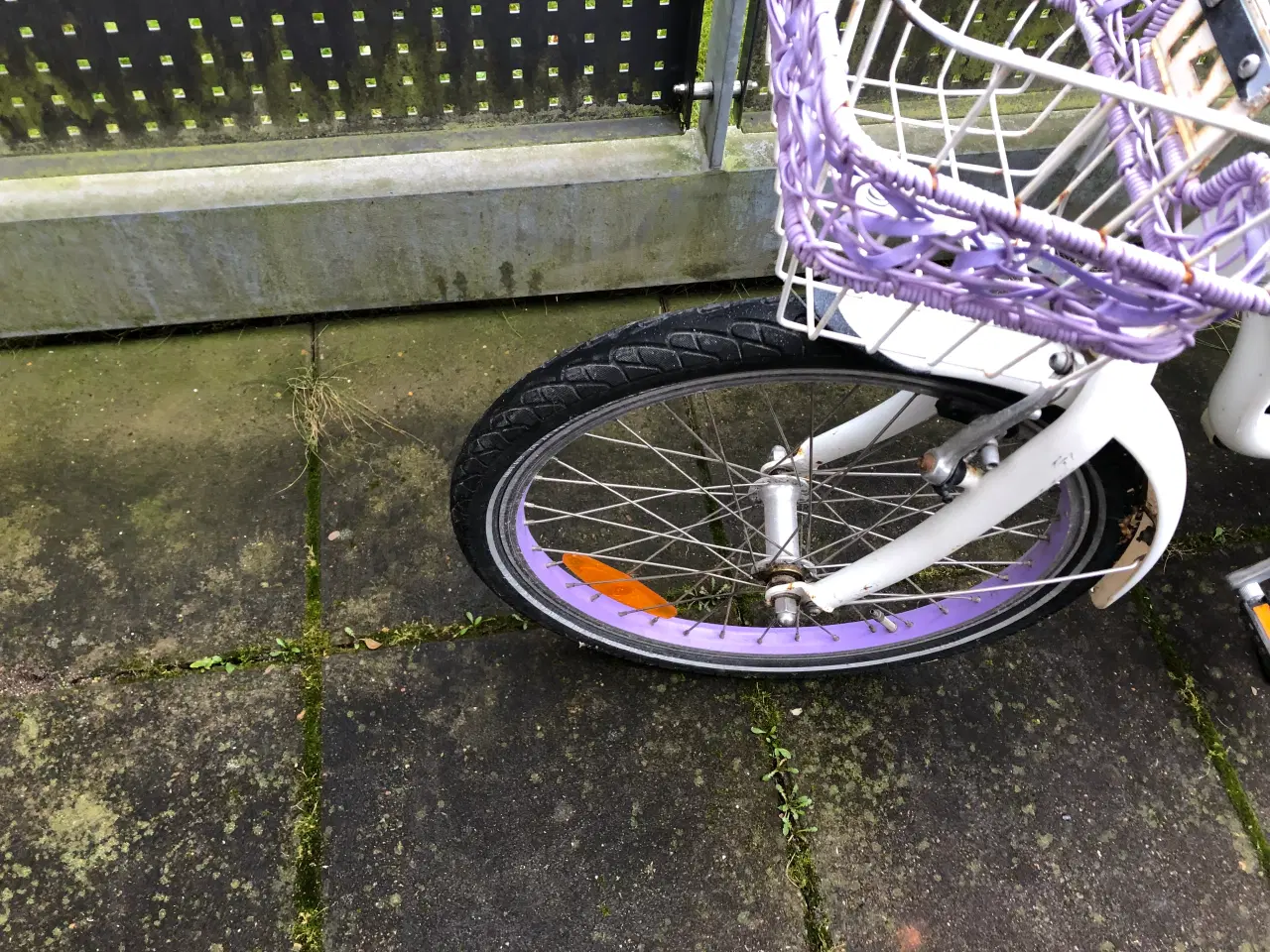 Billede 3 - PIGECYKEL