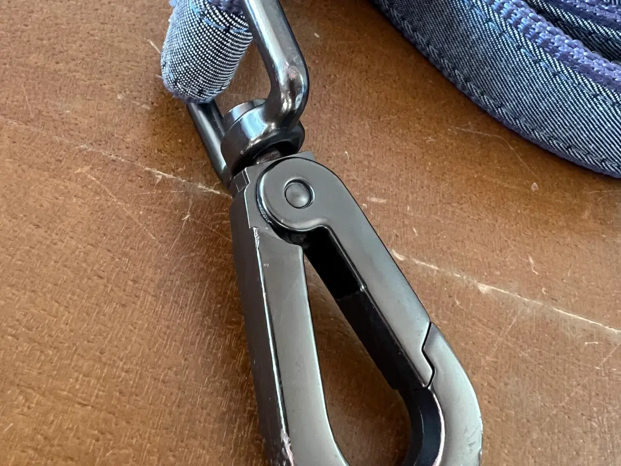 Billede 5 - NY Dressurline fra More For Cats & Dogs (180 Cm)