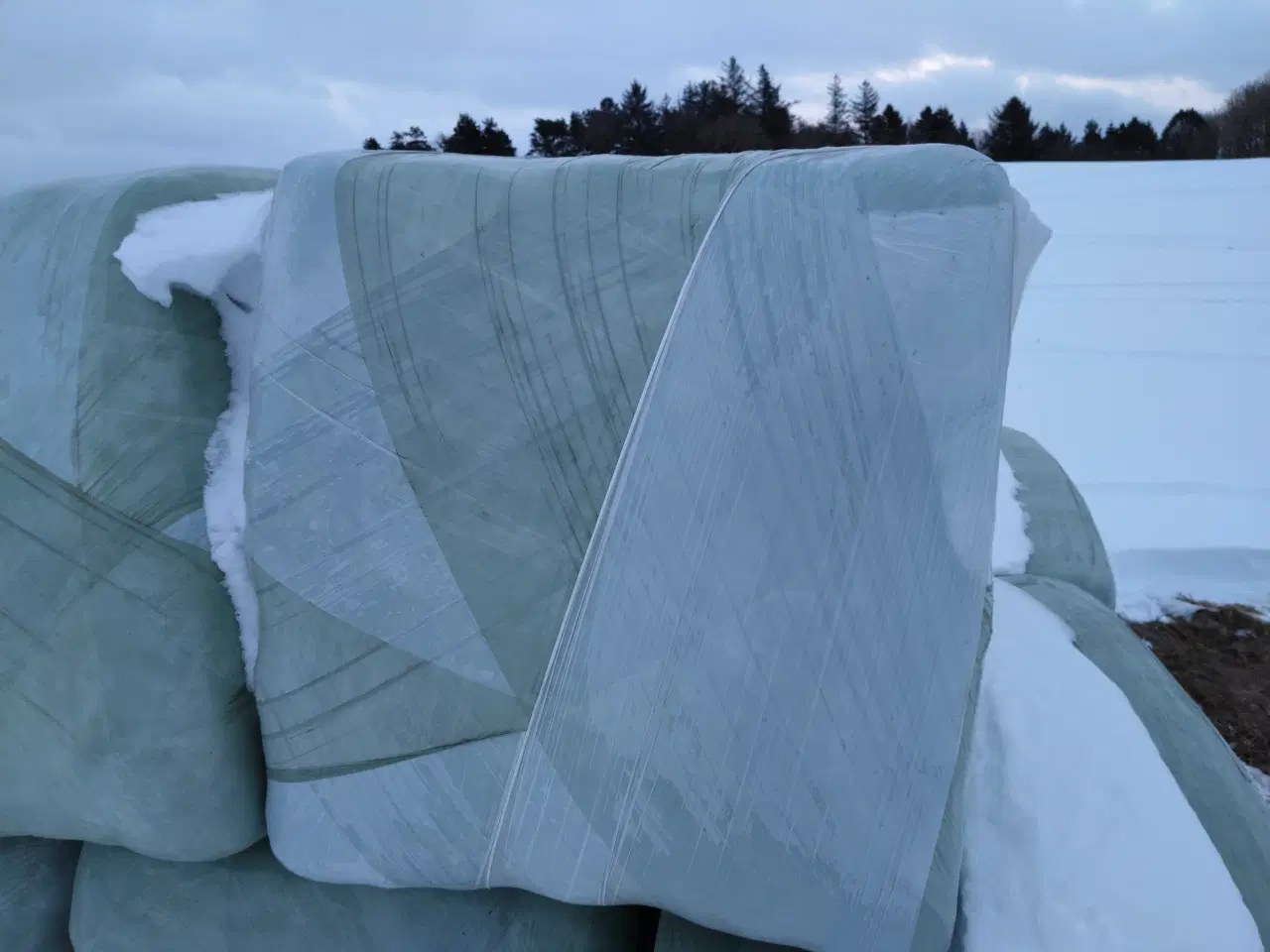 Billede 3 - Hestehø – flot kvalitet, wrapped