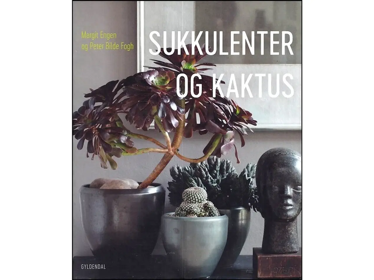 Billede 1 - Sukkulenter og Kaktus