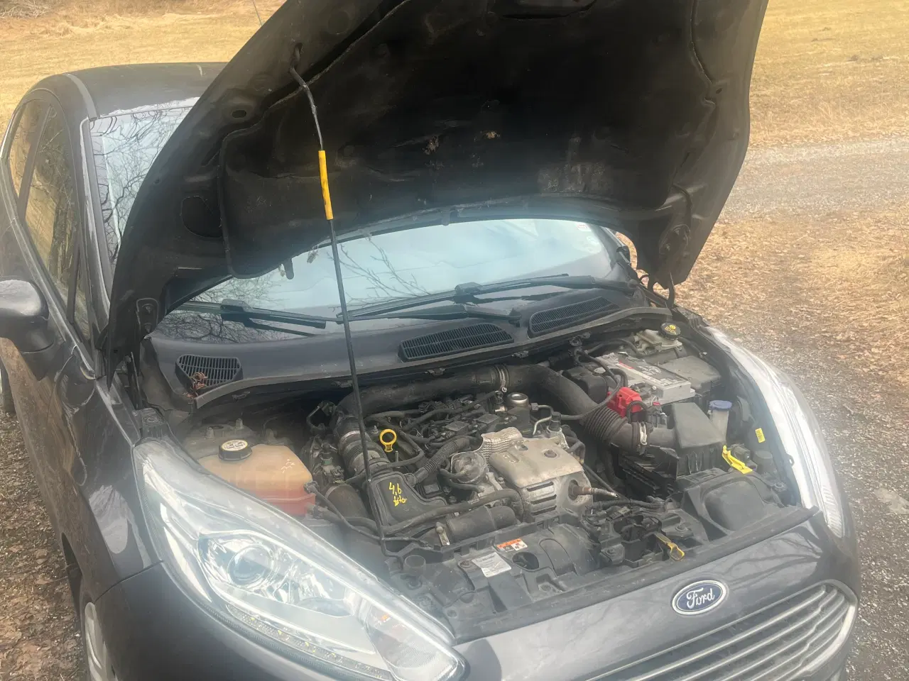 Billede 9 - Velholdt, nysynet og ny tandrem