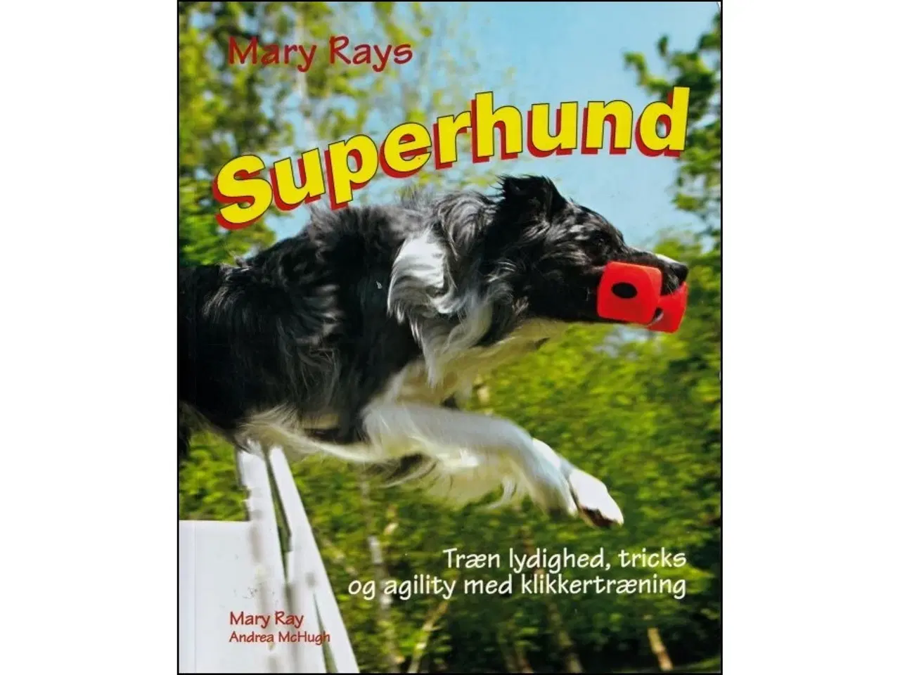 Billede 1 - Superhund
