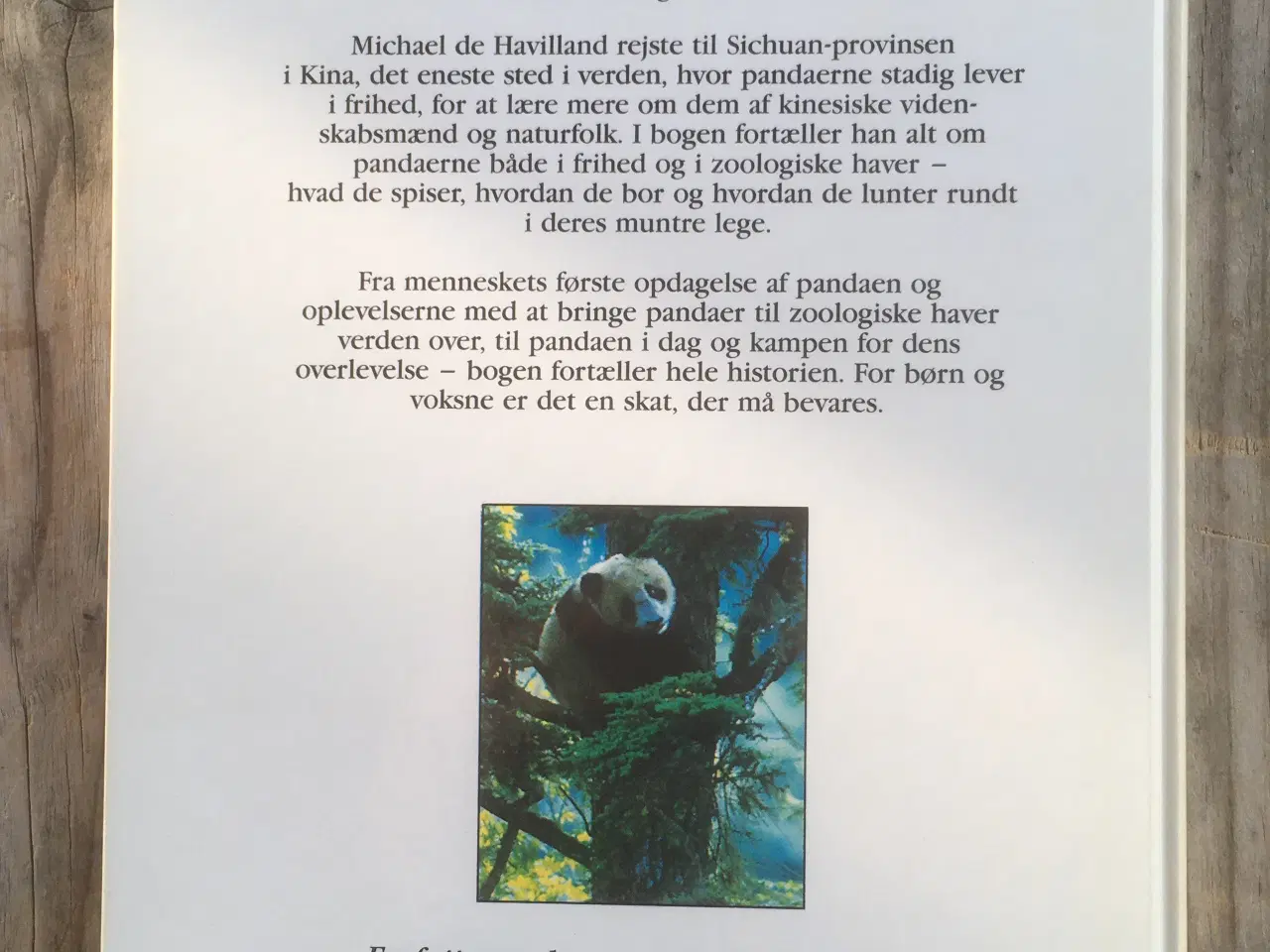Billede 2 - Den fantastiske store panda, Michael de Havilland