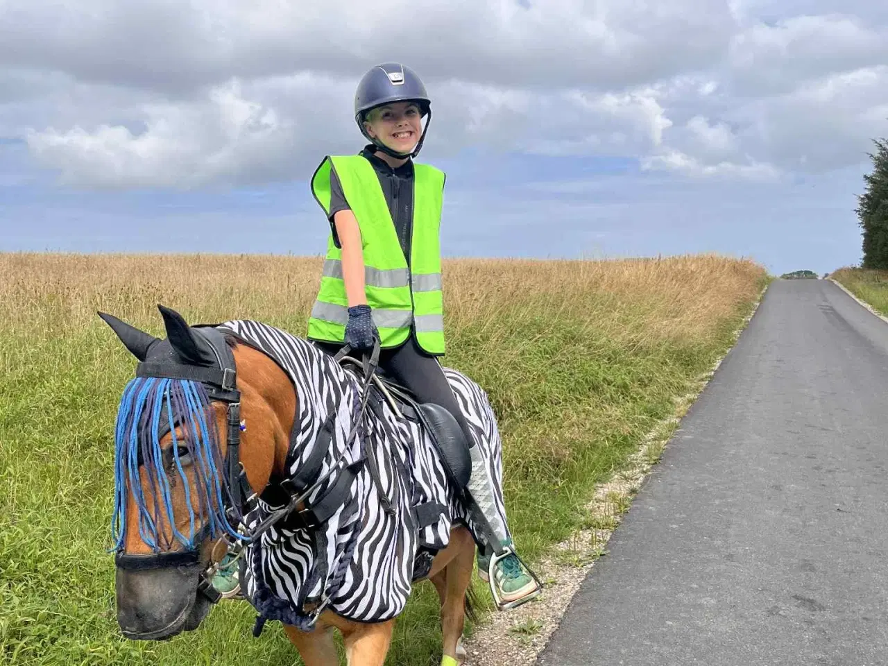 Billede 8 - børnepony /Næsten begynder pony / bytte