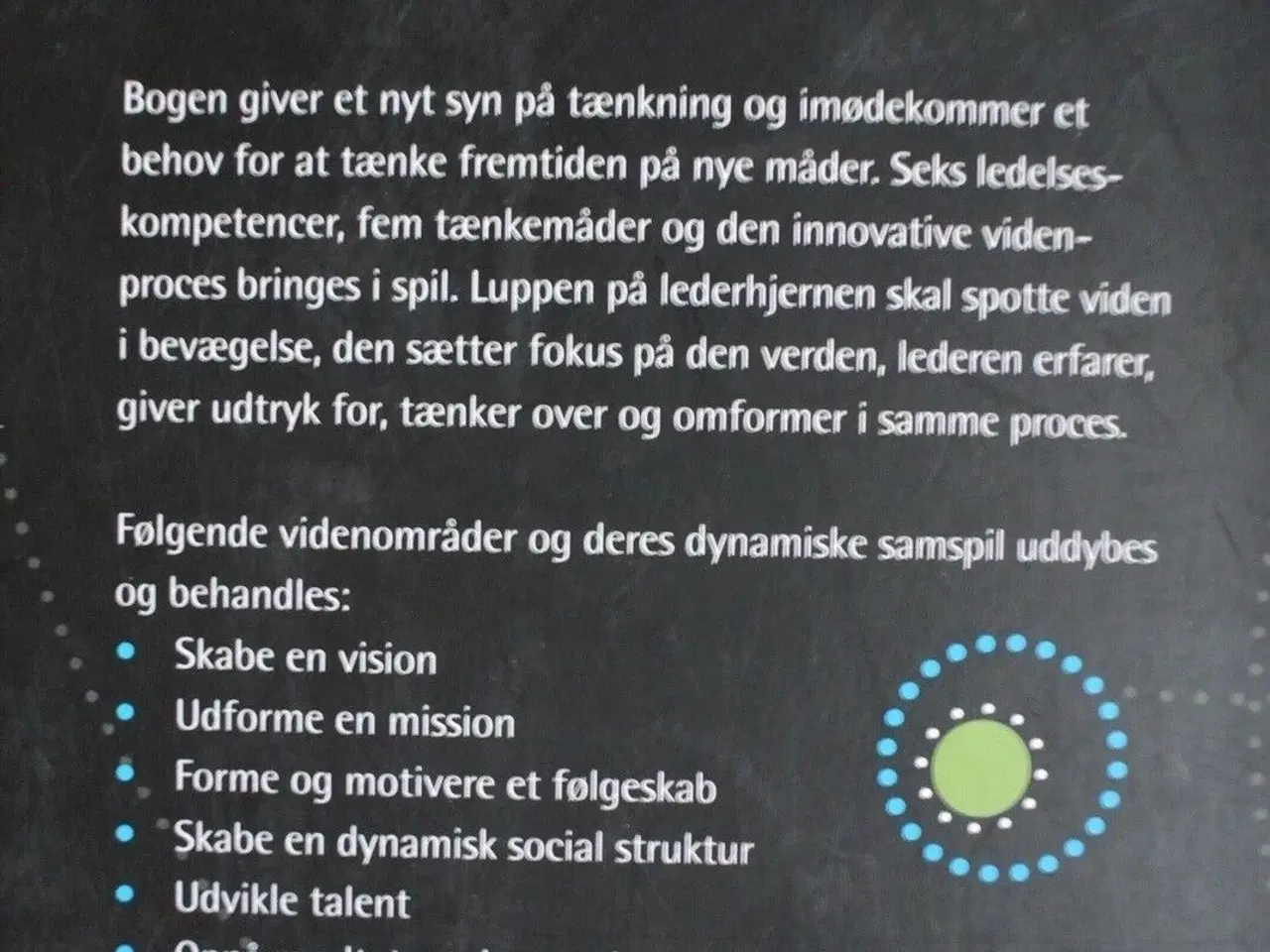 Billede 2 - innovation og ledelse - hjernen som medspiller, af