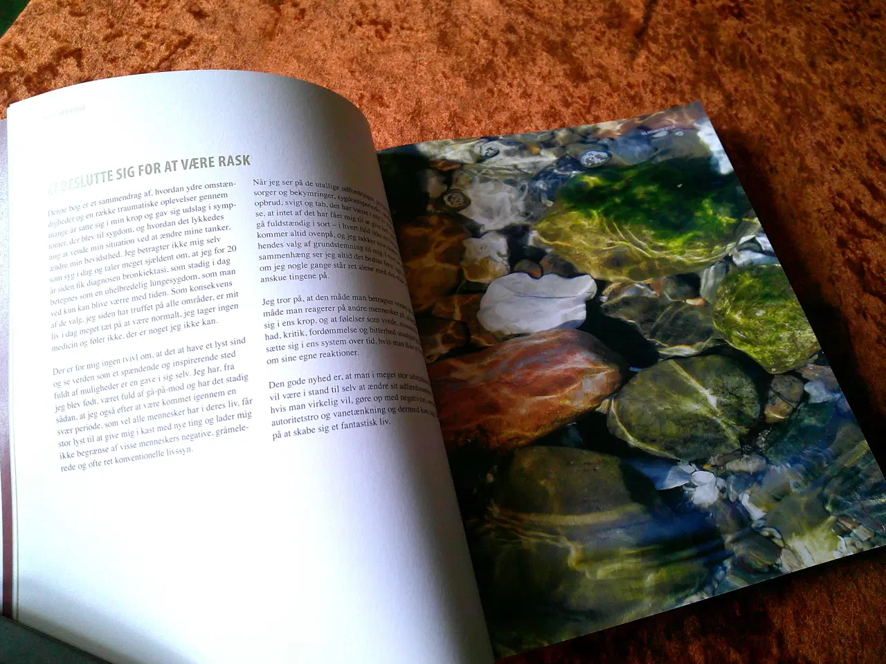 Billede 2 - Diabetes, lev godt med type 2-diabetes, Lise Pent