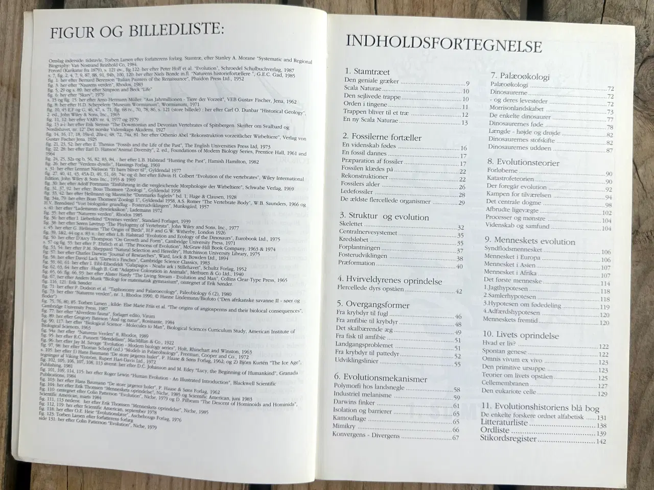 Billede 4 - Livets oprindelse og udvikling – Benedikt Gullach