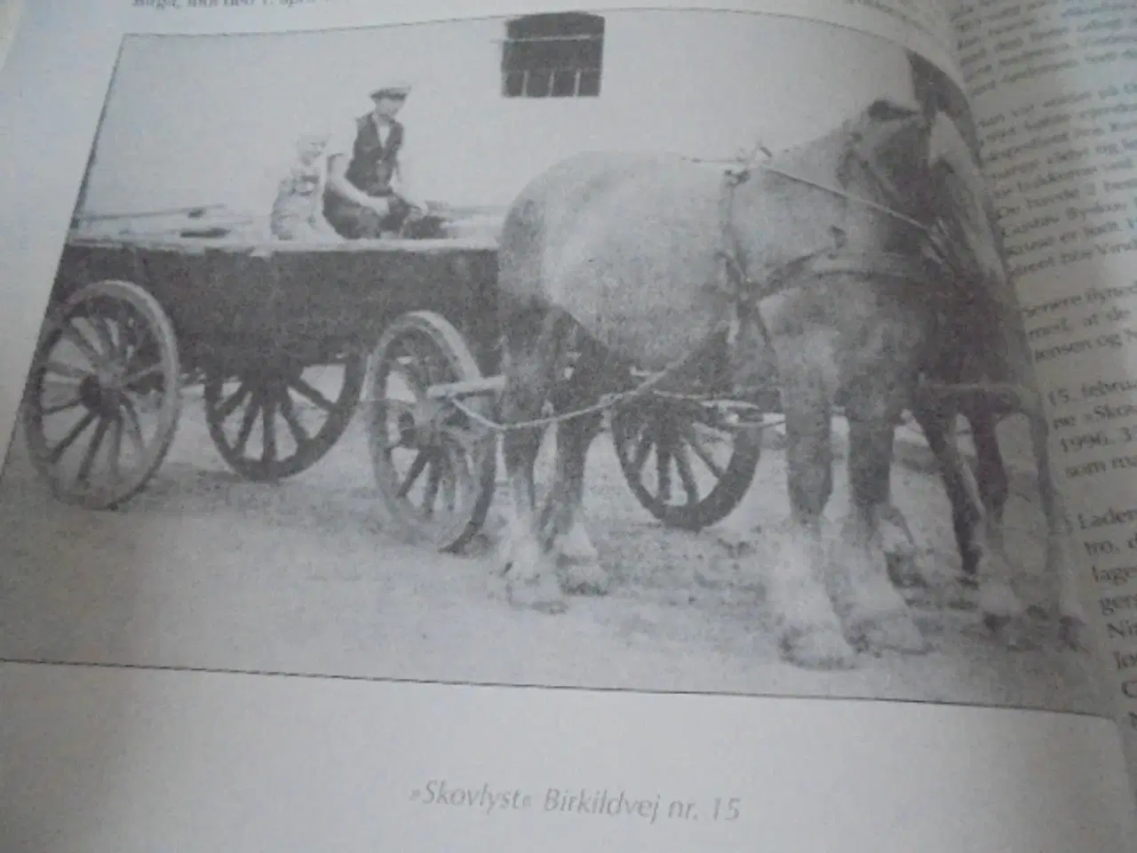 Billede 2 - Birkildboerne – Mellem Holstebro, Struer, Lemvig o