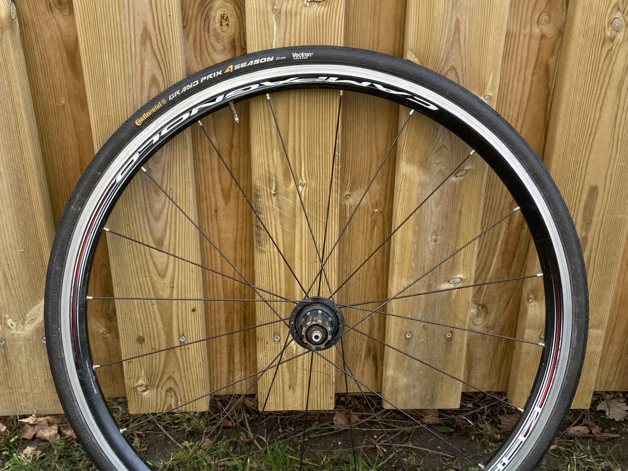 Billede 1 - Campagnolo baghjul med Continental dæk