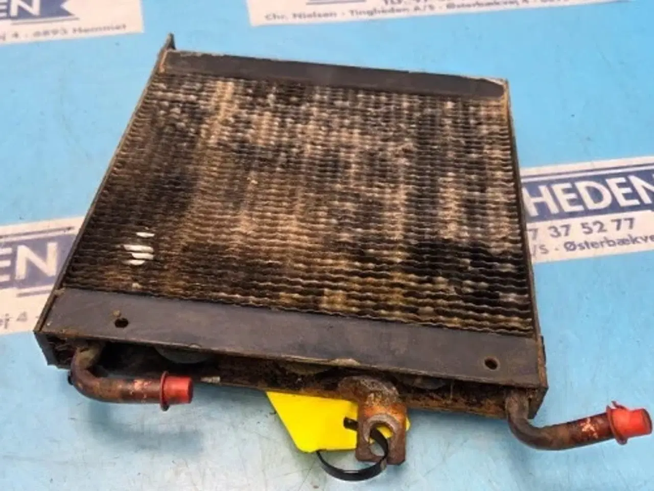 Billede 18 - Massey Ferguson 6260 Køler 3783923M1