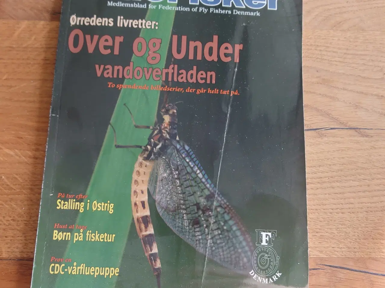 Billede 1 - FlueFisker – Juli 2011