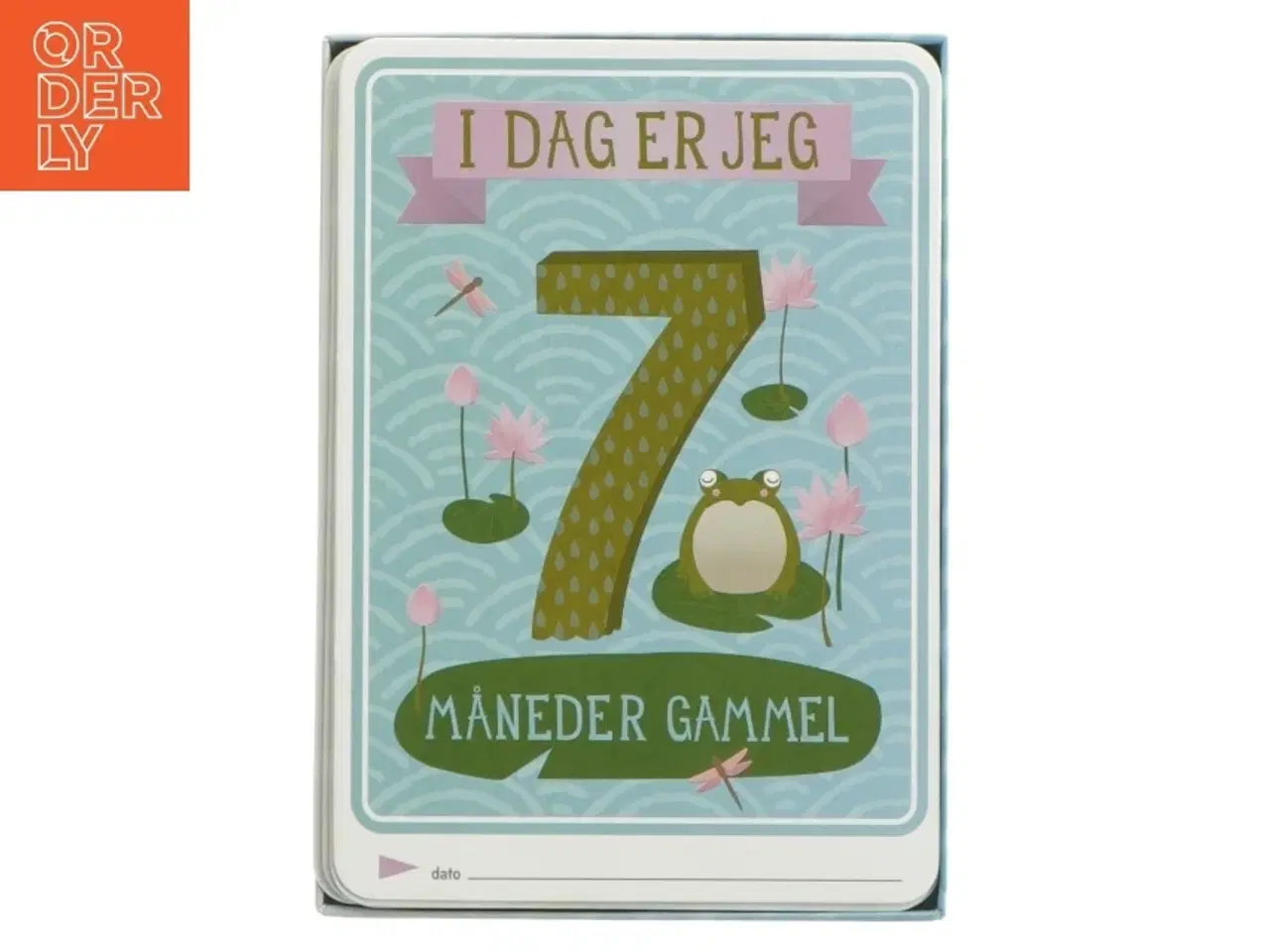 Billede 3 - Milestone Baby Cards fra Milstone (str. 30 kort)