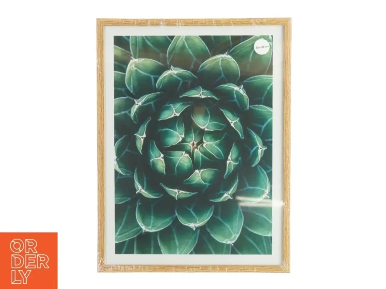 Billede 1 - Billedramme (str. 40 x 30 cm)