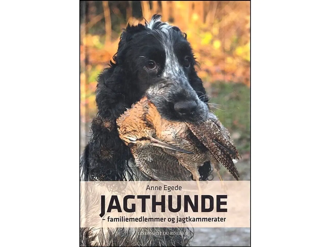 Billede 1 - Jagthunde - Familiemedlemmer og Jagtkammerater