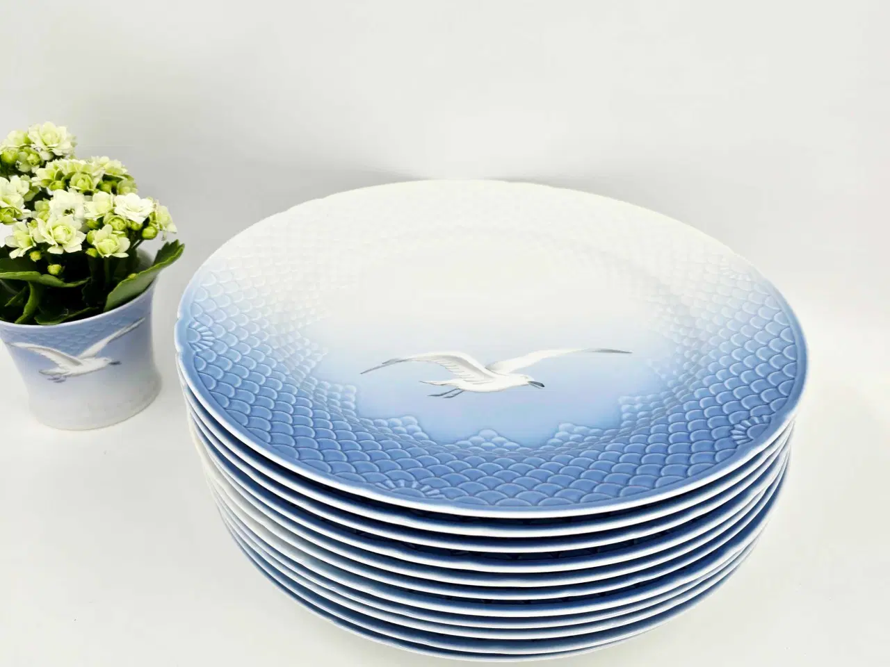 Billede 7 - Mågestel Dækketallerken uden guldkant Porcelæn