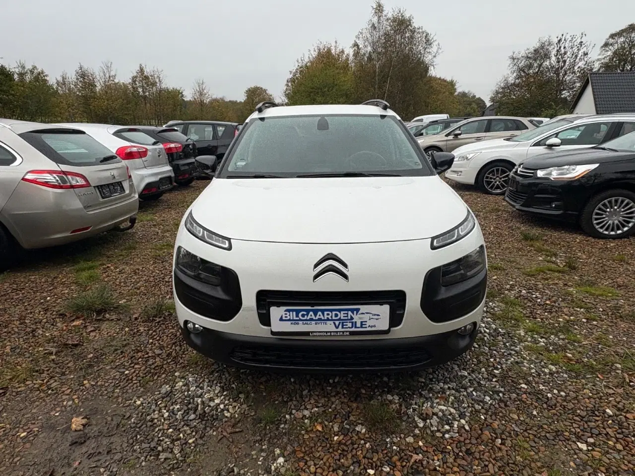 Billede 7 - Citroën C4 Cactus 1,6 BlueHDi 100 Feel Free