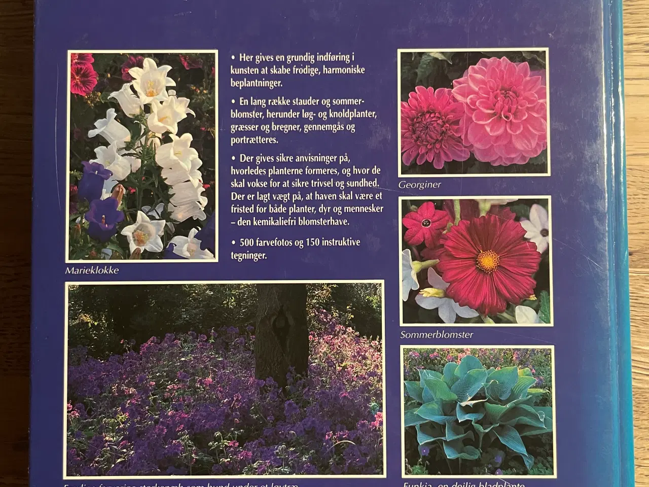 Billede 2 - Blomsterhaven, bernd Hertle m.fl.