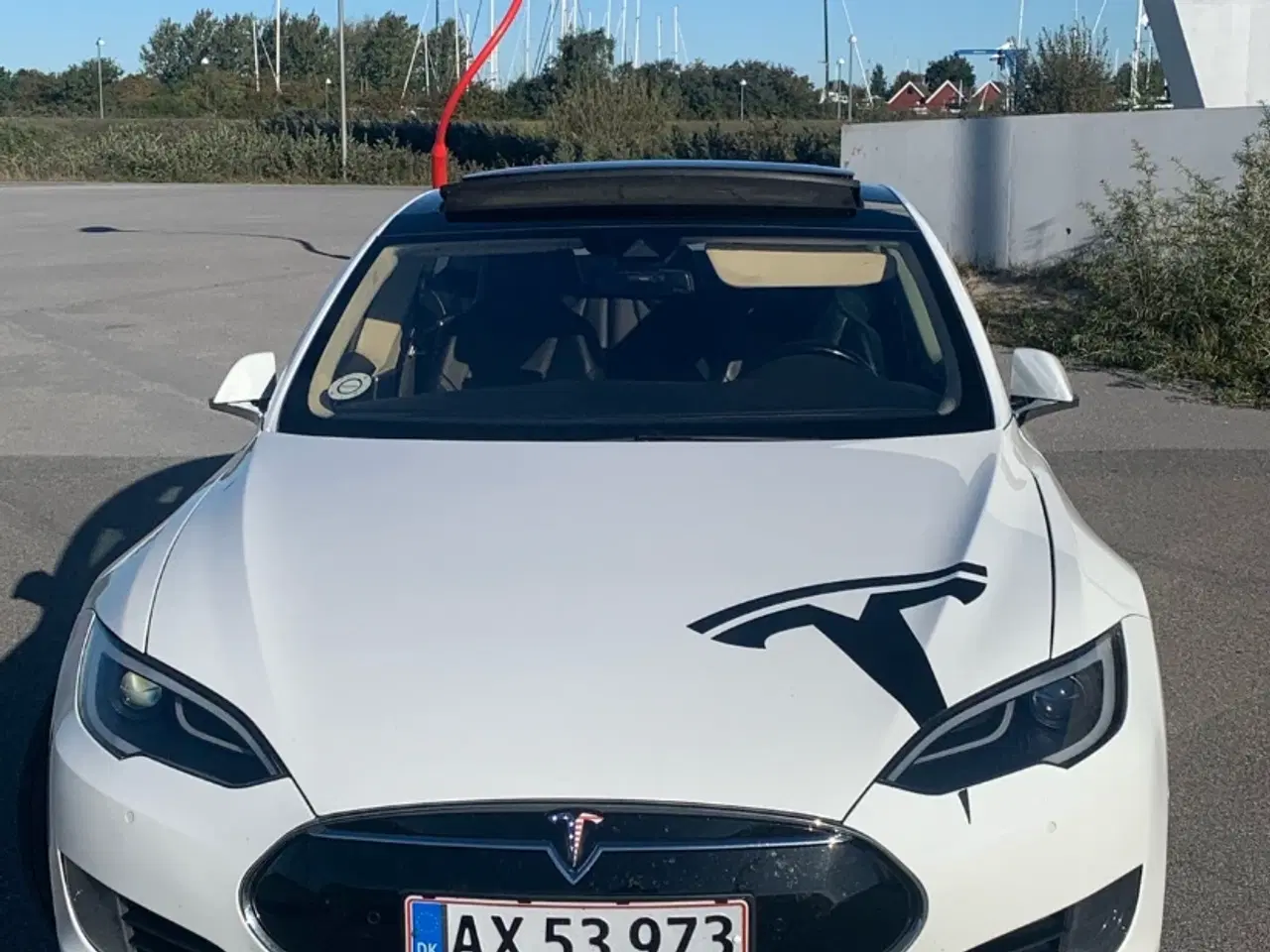 Billede 1 - TESLA MODEL S - EVETESLA EDITION 