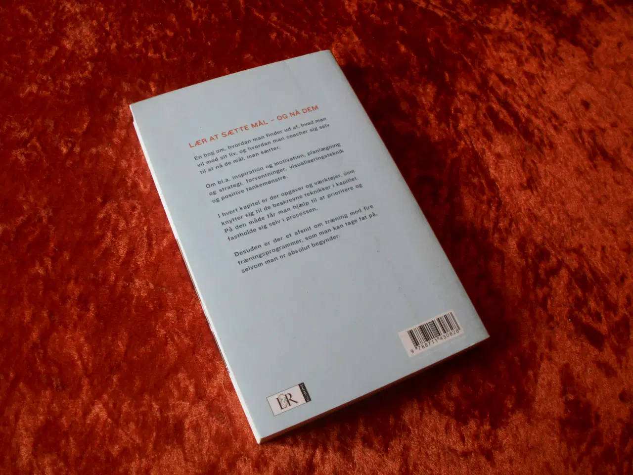 Billede 2 - Vind med vilje, Mette Bloch