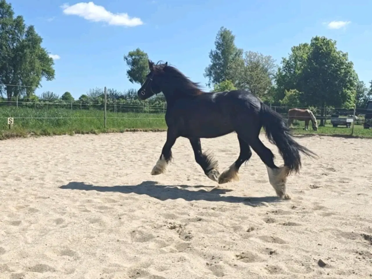 Billede 4 - Tinker hoppe 
