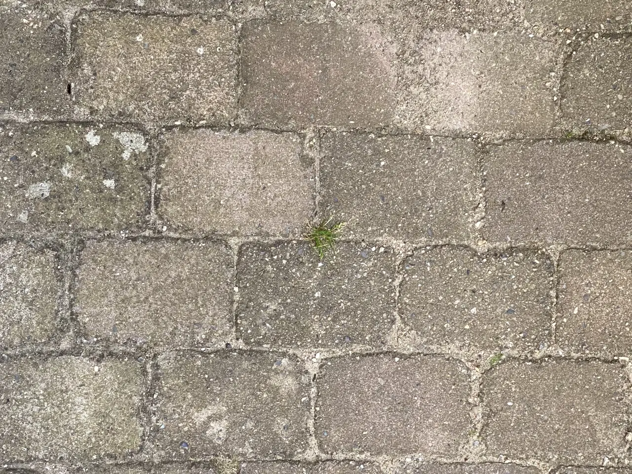 Billede 1 - Herregårdsfliser Brugte (ca 20 m2)