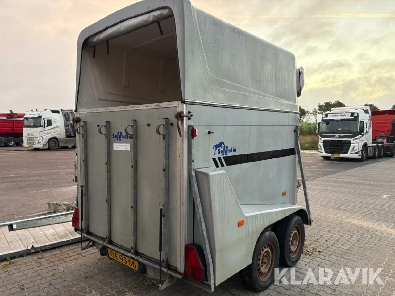 Billede 3 - Hestetrailer Marosselandia Big Star