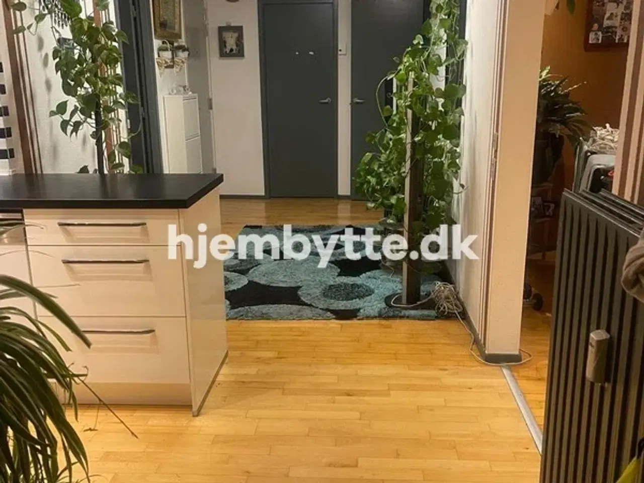 Billede 13 - Hjembytte - Heimdalsvej
