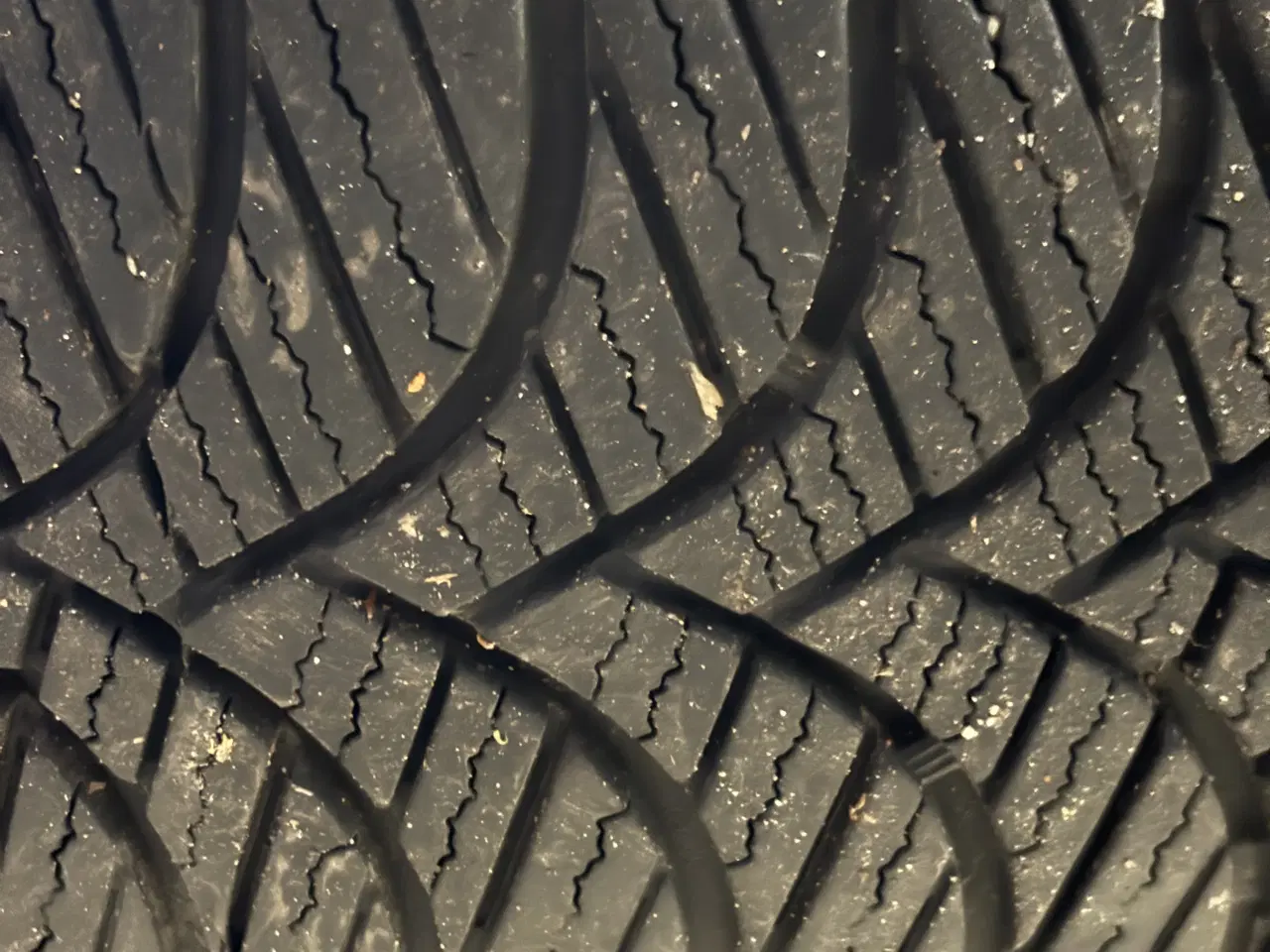 Billede 4 - Helårsdæk