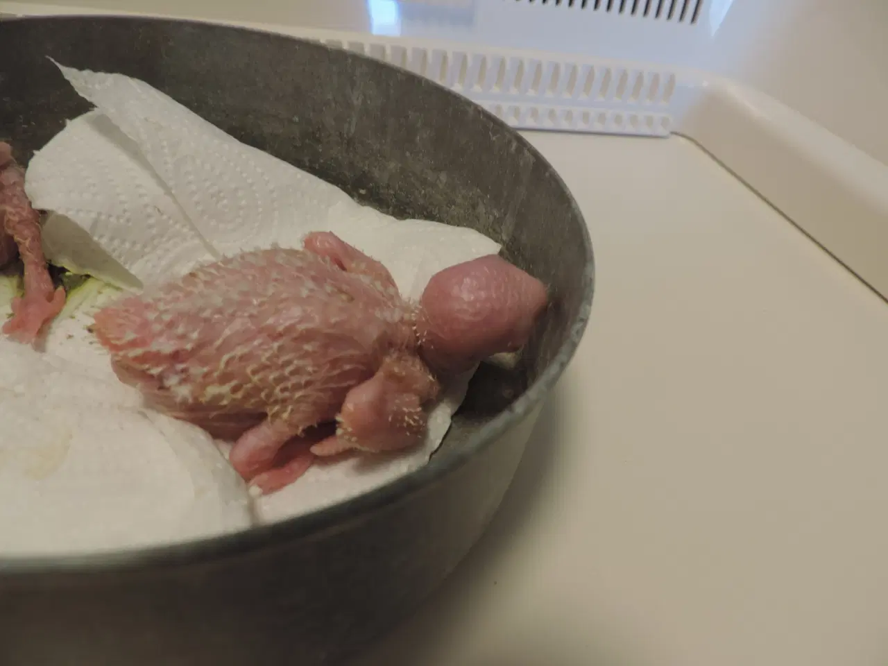 Billede 3 - Conurer til håndopmadning.