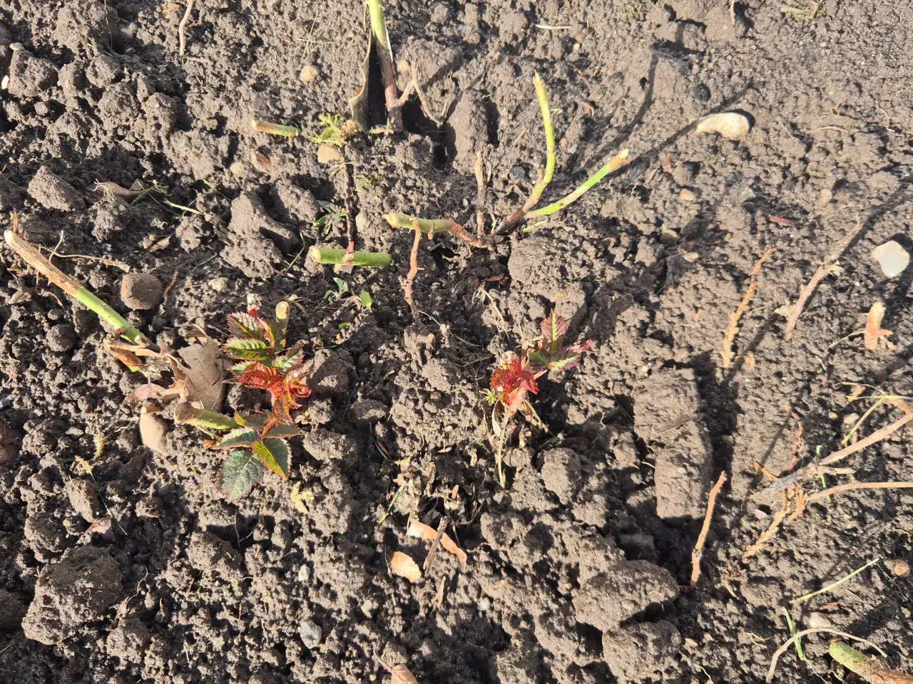 Billede 3 - Vandkande og kar i zink